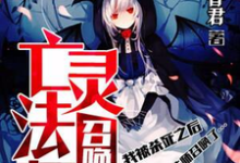 亡灵法师召唤我小说，亡灵法师召唤我章节在线阅读-豌豆文学