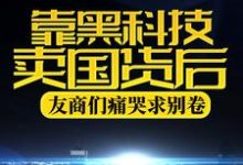苏晨为主角的小说叫什么？免费看靠黑科技卖国货后，友商们痛哭求别卷-豌豆文学