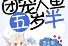 免费看团宠人鱼五岁半小说的网站有哪些？-豌豆文学