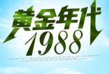 求黄金年代1988小说免费资源-豌豆文学
