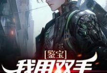鉴宝：我用双手称霸学术界小说阅读，鉴宝：我用双手称霸学术界完结版-豌豆文学