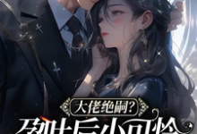 已完结小说《大佬绝嗣？孕吐后小可怜一胎三宝》章节免费阅读-豌豆文学