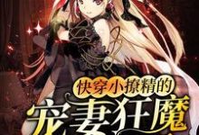 小说《快穿小撩精的宠妻狂魔又醋了》在线章节阅读-豌豆文学