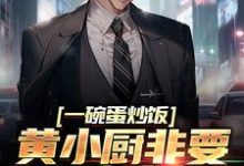 一碗蛋炒饭，黄小厨非要拜我为师小说阅读，一碗蛋炒饭，黄小厨非要拜我为师完结版-豌豆文学
