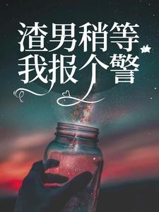 渣男稍等，我报个警小说全文阅读需要付费吗？寻找免费资源