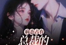 病态占有：总裁的私有宝贝云渺陆聿骁小说在线章节目录阅读最新章节-豌豆文学