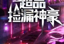 超品捡漏神豪小说，超品捡漏神豪免费阅读-豌豆文学
