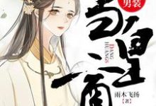 女扮男装当皇商小说的所有章节都能在哪里免费读到？-豌豆文学