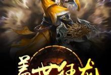 叶辰林若雪小说在线章节免费阅读（盖世狂龙无弹窗无删减）-豌豆文学