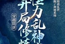 穿越隋唐：开局修炼怪力乱神术秦渊，穿越隋唐：开局修炼怪力乱神术在线无弹窗阅读-豌豆文学