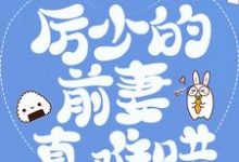 豪门弃妇：厉少的前妻真难哄（江阮阮厉薄深）在线免费阅读-豌豆文学