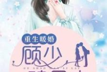 小说《重生暖婚：顾少，碗里来》在线章节阅读-豌豆文学