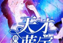 天才萌宝俏妈咪这本小说在哪里可以看？哪里有免费试读章节？-豌豆文学