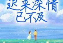 免费阅读慕晚晚霍靖琛徐慧敏为主角的小说，迟来深情已不及在线看-豌豆文学