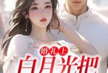 婚礼上，白月光把男友截胡了沈矜陈槿之，婚礼上，白月光把男友截胡了在线无弹窗阅读-豌豆文学
