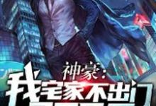 小说《神豪:我宅家不出门365天》章节免费阅读-豌豆文学