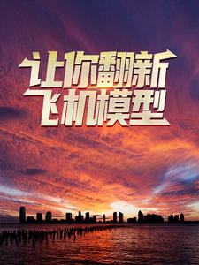 齐风田莹小说《让你翻新飞机模型，你却打造幽灵战机？》在线阅读