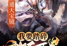 寻找能够免费阅读通天宝镜：我要踏碎诸天万界小说的平台-豌豆文学