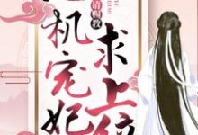 在线寻找心机宠妃求上位:王爷,请赐教小说的无删减版本-豌豆文学