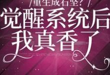 重生成石坚？觉醒系统我后真香了石坚千鹤林凤娇，重生成石坚？觉醒系统我后真香了最新章节-豌豆文学