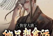 快穿大唐，他只想贪污腐败享人生小说，快穿大唐，他只想贪污腐败享人生章节在线阅读-豌豆文学