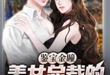 鉴宝金瞳：美女总裁的贴身鉴宝师这本小说完结了吗？免费查看最新章节-豌豆文学