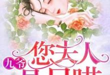 九爷，您夫人是只喵小说，九爷，您夫人是只喵最新章节-豌豆文学