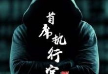 想读冯炬张霆润的故事，哪里可以免费找到首席执行官？-豌豆文学