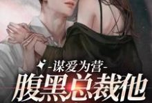 谋爱为营：腹黑总裁他把我宠上天这本小说在哪里可以看？哪里有免费试读章节？-豌豆文学