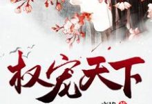 云楚梨百里夜楼为主角的小说好看吗？免费读权宠天下-豌豆文学