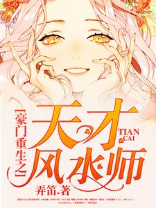 豪门重生之天才风水师小说的无弹窗阅读体验，寻找免费阅读网站