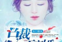 名门婚宠：总裁不离婚小说有没有完结版在线？-豌豆文学