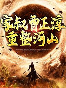 免费看家叔曹正淳，重整河山小说的网站有哪些？