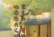重生后，首辅夫人她总想去父留子程颂安崔元卿，重生后，首辅夫人她总想去父留子小说免费阅读-豌豆文学
