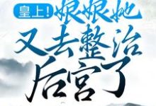 小说《皇上！娘娘她又去整治后宫了》在线章节阅读-豌豆文学