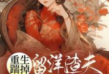 重生踹掉留洋渣夫，她成了万人迷小说全文阅读需要付费吗？寻找免费资源-豌豆文学