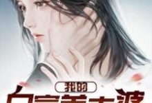 我的白富美老婆章节免费在线阅读，林萧许欣然完结版-豌豆文学