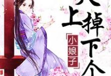 天上掉下个小娘子这本小说怎么样？免费在线阅读试试-豌豆文学
