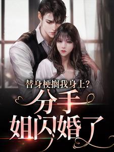 已完结小说《替身梗搁我身上？分手，姐闪婚了》在线章节阅读