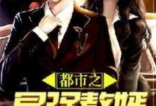 已完结小说《都市之最强赘婿》章节在线阅读-豌豆文学