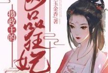 小说《摄政王的医品狂妃》章节免费阅读-豌豆文学