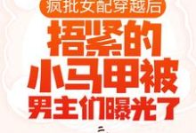 池奚宁齐皓小说叫什么（疯批女配穿越后，捂紧的小马甲被男主们曝光了免费阅读）-豌豆文学