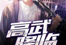 高武降临章节免费在线阅读，林枫李月婵完结版-豌豆文学