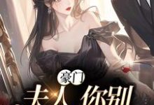 《豪门：夫人，你别丢下我》小说大结局免费试读 苏烟秦时砚小说-豌豆文学