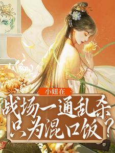 完结版《小妞在战场一通乱杀，只为混口饭？》章节阅读