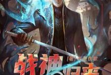 战神归来当奶爸最新章节，战神归来当奶爸免费阅读-豌豆文学