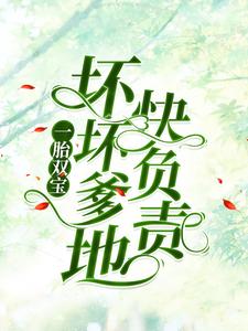 《一胎双宝：坏坏爹地快负责》小说主角南宫丞沈茉染章节章节免费在线阅读