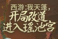 西游：我天蓬，开局改道进入瑶池宫小说的无弹窗阅读体验，寻找免费阅读网站-豌豆文学