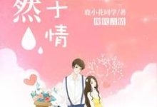 漓然止于情小说全文阅读需要付费吗？寻找免费资源-豌豆文学