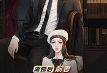 离婚后，前妻跪求我复婚小说最新更新在哪里？免费在线看-豌豆文学